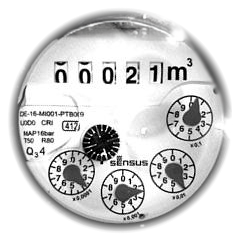 Wasserzähler Sensus 412